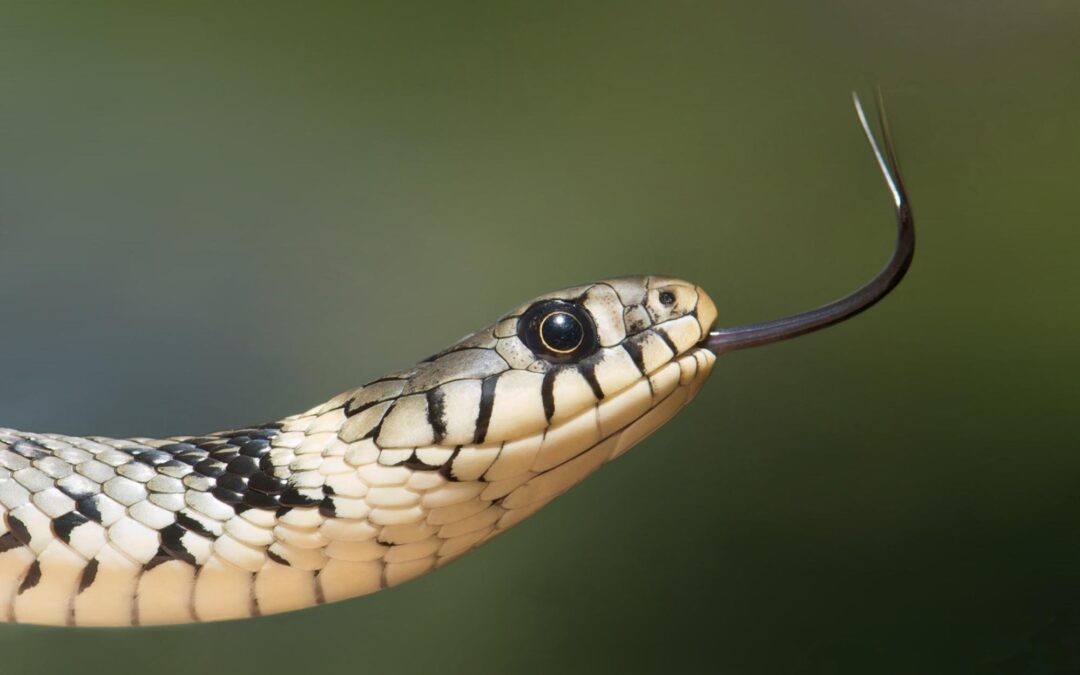 What’s New  – 27 Oct 2011